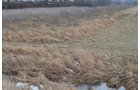 Property photo 9 - East Allen County Land Auction - 40 Acres in 2 Tracts